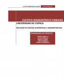 CULTIVO HIDROPÓNICO URBANO