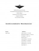 Acondicionamiento neuromuscular. Educación física