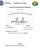 Dispensador de comida para mascotas domésticas, que facilita su alimentación. MASCO (mascotas) y TODAS (sin distinción de especie)