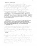 Etapas de una adecuada Auditoría