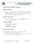 CIRCUITOS SERIE Y PARALELO