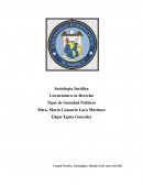 Tipos de Sociedad Políticas