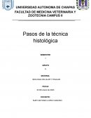 Pasos de la técnica histológica