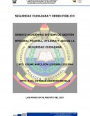 SISTEMA DE GESTIÓN INTEGRAL POLICIAL, UTILIDAD Y USO EN LA SEGURIDAD CIUDADANA