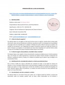 PRESENTACIÓN DE LA IDEA DE NEGOCIOS