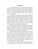 Lineamientos de Seguridad Industrial