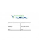 Ensayo Lienzo mi pasión