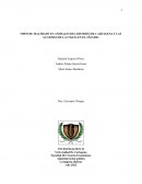 TIPOS DE MALTRATO EN ANIMALES DEL DISTRITO DE CARTAGENA Y LAS ACCIONES DE LA UMATA EN EL AÑO 2022