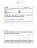 SECTOR ENERGÉTICO EN MÉXICO