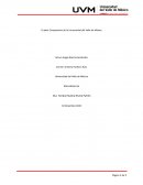 Mercadotecnia CINEPOLIS CINEMEX