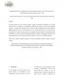 EXPERIENCIAS EN EL DESARROLLO DE LAVANDERIA ECOLOGICA EN EL SECTOR TEXTIL Y CONFECCIÓNES