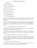 PRESENTACION DE LA IDEA DE NEGOCIOS