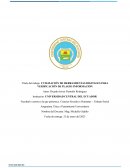 UTILIZACIÓN DE HERRAMIENTAS DIGITALES PARA VERIFICACIÓN DE PLAGIO INFORMACIÓN