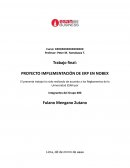 PROYECTO IMPLEMENTACIÓN DE ERP EN NOBEX