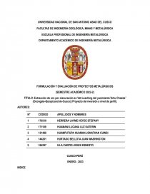 Extracción de oro por cianuración en Vat Leaching del yacimiento ̈Urku Chaska ̈ (Ocongate-Quispicanchis-Cusco) (Proyecto de inversión a nivel de perfil). Página 1