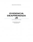 Líneas de investigación en la actualidad