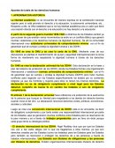 Apuntes de tutela de los derechos humanos