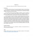 Observación de células en fase mitótica en tejido apical de raíces de cebolla