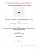 NECESIDADES EDUCATIVAS ESPECIALES DEL NIÑO