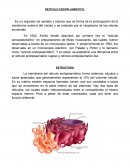 RETÍCULO ENDOPLASMÁTICO