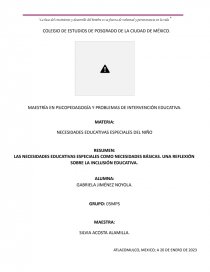 NECESIDADES EDUCATIVAS ESPECIALES DEL NIÑO. Página 1