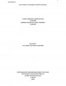 Acción constitucional popular. Busca la protección