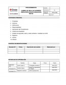 PROCEDIMIENTO CAMBIO DE MALLAS HARNERO VIBRATORIO SELECCIONADORA