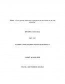 Como puedo relacionar la presencia de los limites en la vida cotidiana
