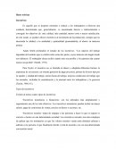 Incentivos. Tipos de incentivos