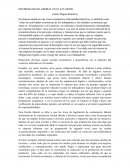 Informalidad laboral en el Ecuador