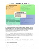 CINCO FUERZAS DE PORTER