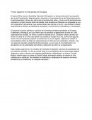 Provea: Siguiendo el (mal) ejemplo de Nicaragua