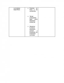 CONCEPTOS BÁSICOS DE LA TEORÍA CURRICULAR. Página 4
