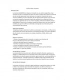 Análisis oferta y demanda empresa ALMIDONES SLJ