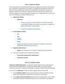 Finanzas internacionales