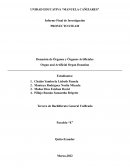 PROYECTO STEAM Donación de Órganos y Órganos Artificiales