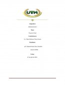 Administracion Cultivos Agrícolas Las Sábilas