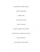 Unidad 1: El Movimiento Actividad 2: Laboratorio sobre el movimiento