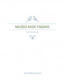 MUSEO MIDE
