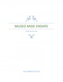 MUSEO MIDE