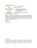 Práctica 1 Reacciones Químicas