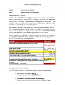 PLANIFICACIÓN DE LA AUDITORIA