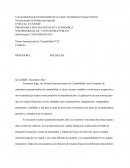 Norma Internacional de Contabilidad N°29 (Análisis)