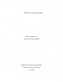 LGBTIQ+ En Comunidades Indígenas