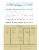 Actividad: Construye y justifica el «business model canvas» de un PyS