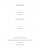 Un pueblo Ausento buscando la paz en su contexto local