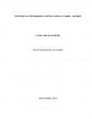 Caso arck system
