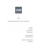 ANÁLISIS VARIABLES RELEVANTES DEL CASO: CHASE SAPPHIRE