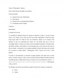 Esclavitud espencer monstequieu