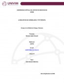 Ensayo de la Medicina Griega y Romana